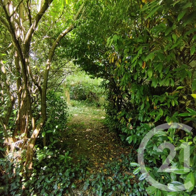 Maison &agrave; vendre - 9 pi&egrave;ces - 220 m2 - Athis Mons - 91 - ILE-DE-FRANCE